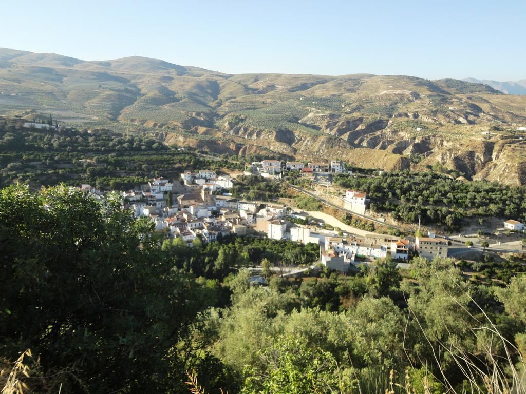 Hostal Y Apartamento Rural Los Naranjos Мелехис Номер фото