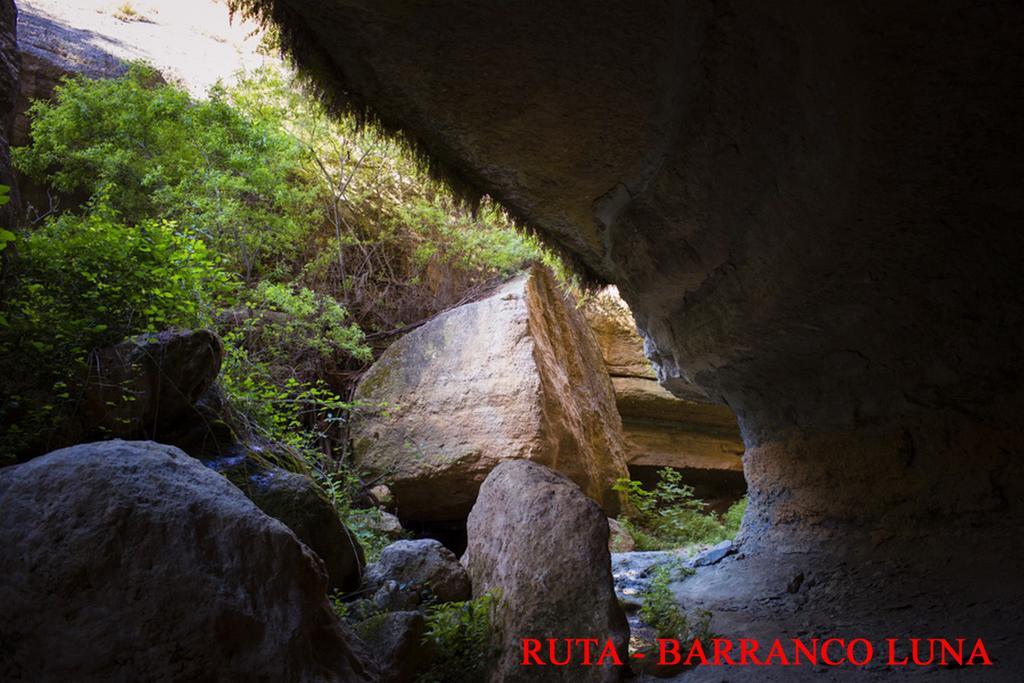 Hostal Y Apartamento Rural Los Naranjos Мелехис Экстерьер фото