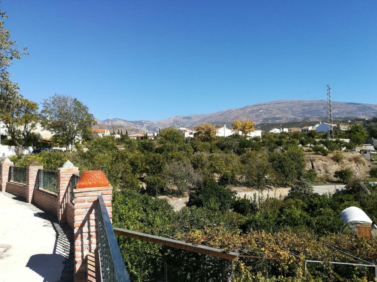 Hostal Y Apartamento Rural Los Naranjos Мелехис Экстерьер фото